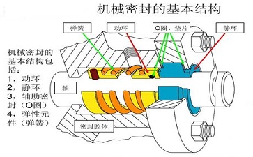 1675737364129170.jpg 21640997.jpg